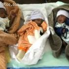Jacqueline Charles of Miami Herald on Haiti tent babies
