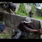 Forces Arme D'Haiti occupied Camp Lamantin 54