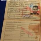 The Haitian Passport Of Michel Martelly