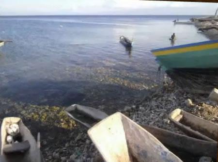 A Boat in the Island of Boman