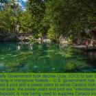 Haiti decrees ordinance to protect mangroves