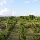 Cayes Botanical Garden a Paradigm of Biodiversity