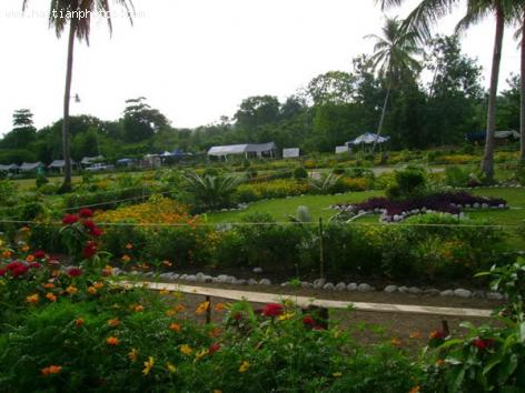 Haiti Government to Meet 2015 Goal for National Botanical Garden