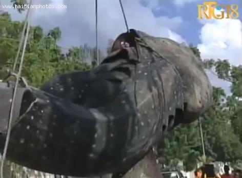Huge Whale caught in Haiti Coast