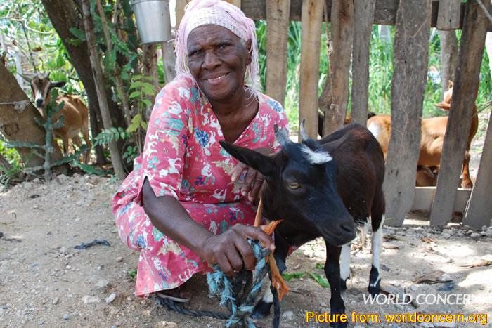 Goat, Bank account for Haitian Peasant