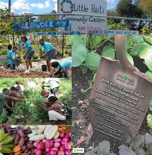 Little Haiti Community Garden