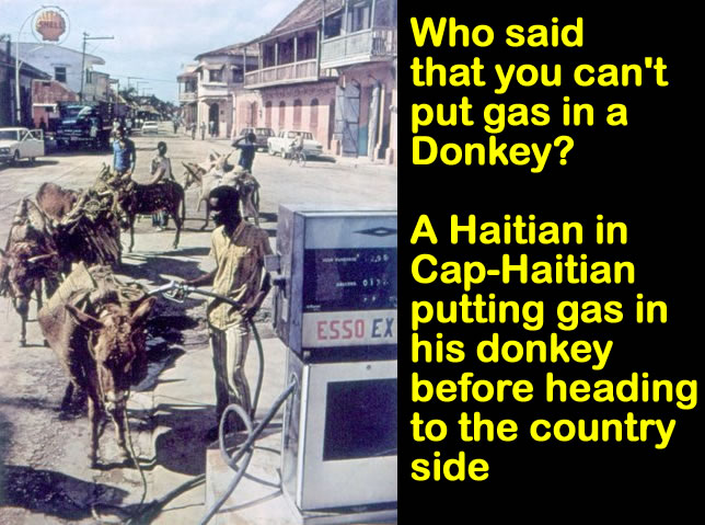 Gasoline being carried by Donkey in Haiti, Price of Gas in Haiti