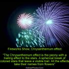 Fireworks Show, Chrysanthemum effect