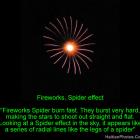 Fireworks, Spider effect