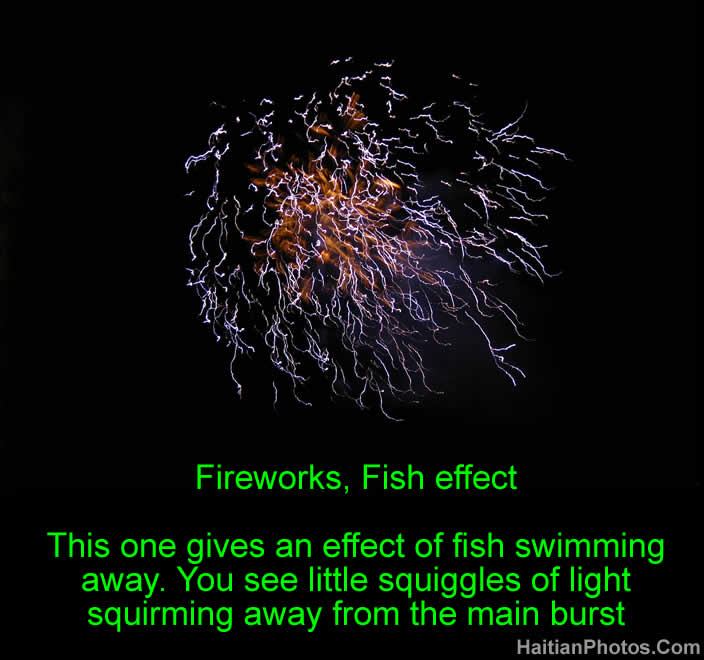 Fireworks, Fish effect