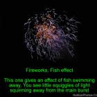 Fireworks, Fish effect