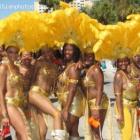 Carnival In Miami And Broward