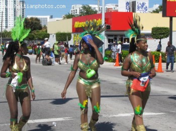 Carnival In Miami, A Caribbean Show